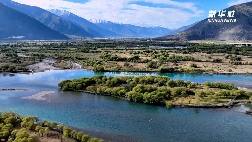 生态西部｜西藏雅尼湿地：面山绿化 增绿添彩